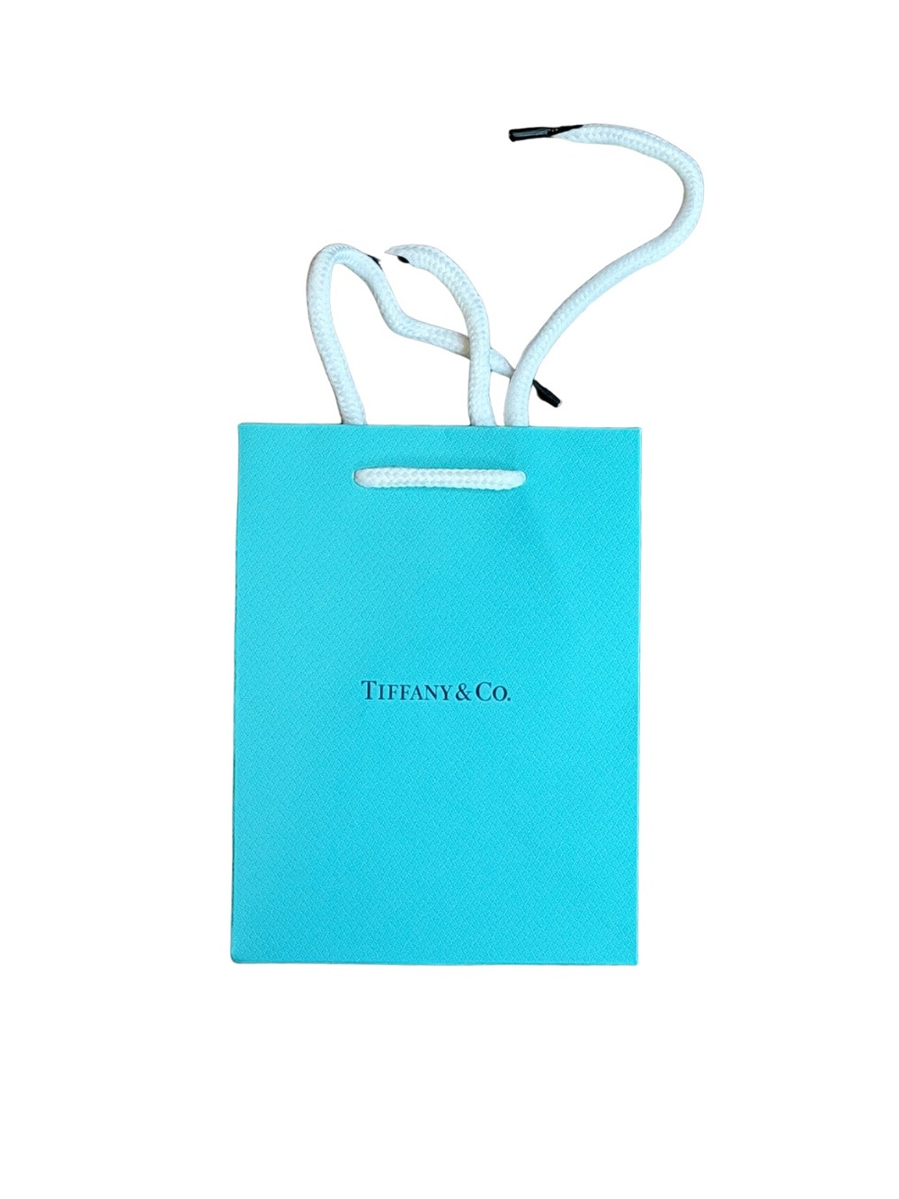 Tiffany & Co. Signature Blue Rope-Handled Gift Bag